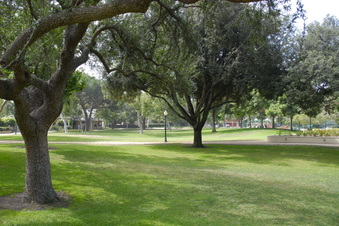 Roxbury Park