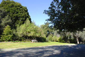 Enlarge photo 1