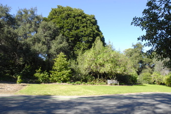 Enlarge photo 2