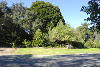Enlarge photo 3