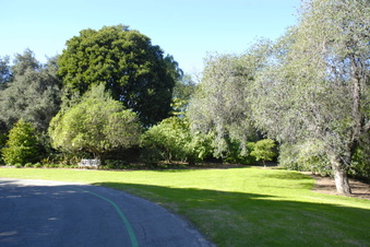 Enlarge photo 5