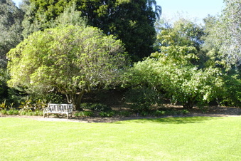 Enlarge photo 6