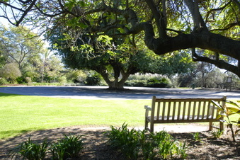 Enlarge photo 10