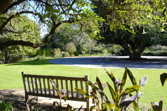 Enlarge photo 9