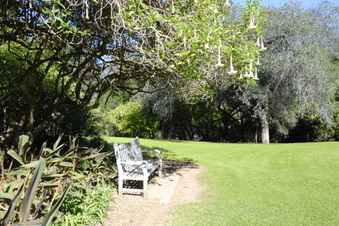 Enlarge photo 11