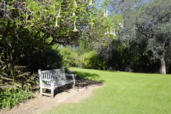 Enlarge photo 12