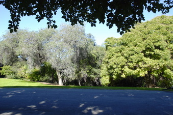 Enlarge photo 15