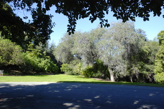 Enlarge photo 16