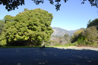 Enlarge photo 17