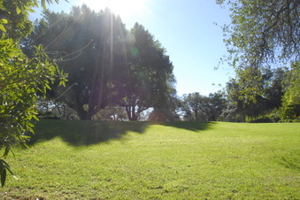 Enlarge photo 18