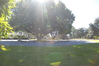 Enlarge photo 20