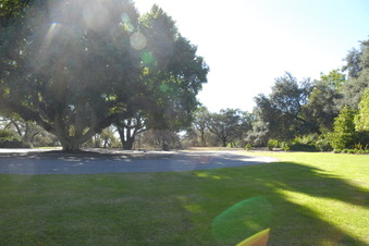 Enlarge photo 21