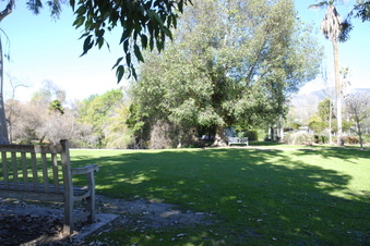 Enlarge photo 3