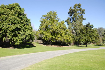 Enlarge photo 16