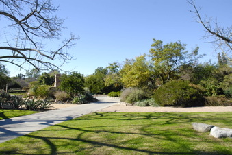Enlarge photo 3