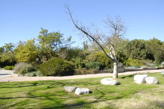 Enlarge photo 4