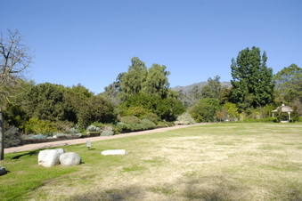 Enlarge photo 6