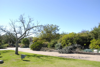 Enlarge photo 10