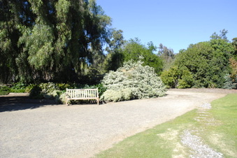 Enlarge photo 17