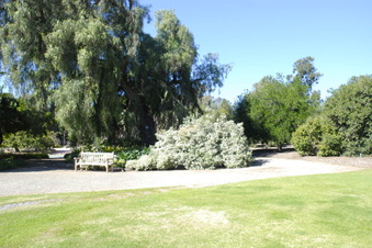 Enlarge photo 22