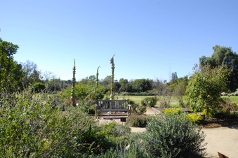 Enlarge photo 28