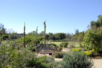 Enlarge photo 29