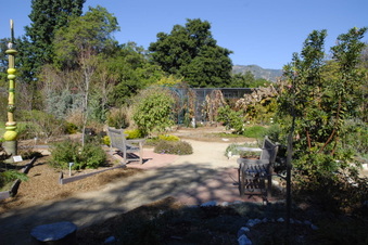 Enlarge photo 32