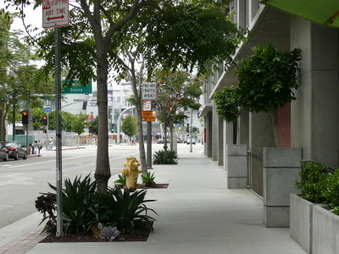 Enlarge photo 10