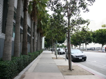 Enlarge photo 25