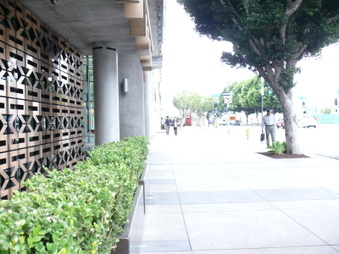 Enlarge photo 38