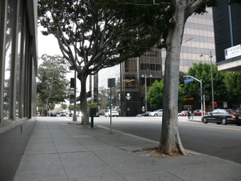 Wilshire Blvd & New Hampshire