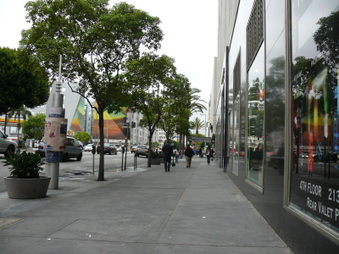 Enlarge photo 37