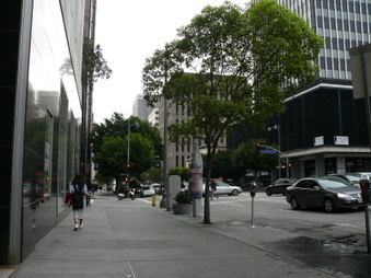 Enlarge photo 40