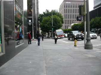 Enlarge photo 45