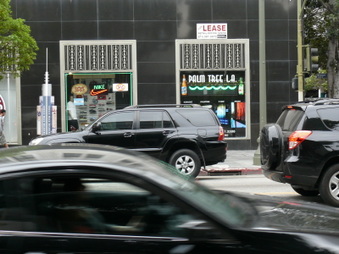 Enlarge photo 62