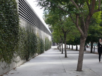 Enlarge photo 12