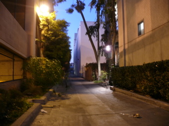 Enlarge photo 13