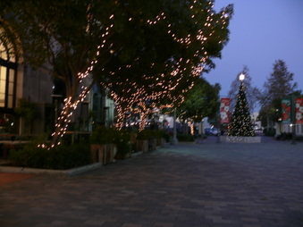 Enlarge photo 16