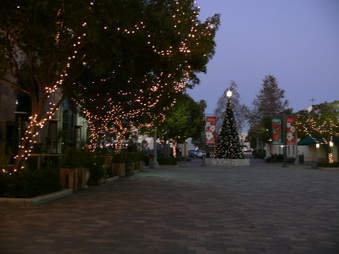 Enlarge photo 17