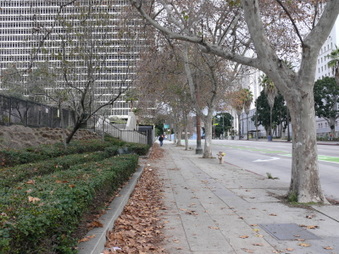 Enlarge photo 29