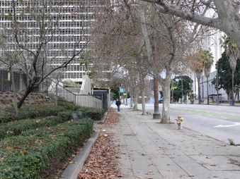 Enlarge photo 30