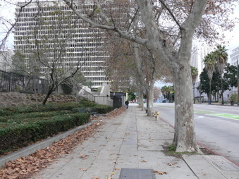 Enlarge photo 31