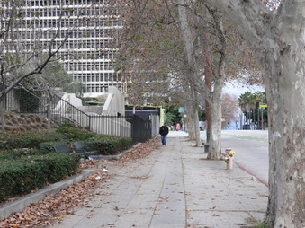 Enlarge photo 32