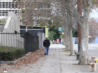 Enlarge photo 33
