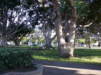Enlarge photo 7