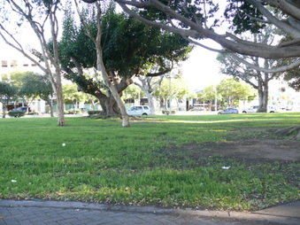 Enlarge photo 13