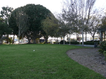 Enlarge photo 16