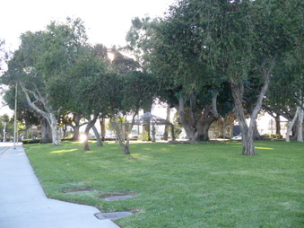 Enlarge photo 18