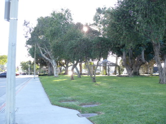 Enlarge photo 19