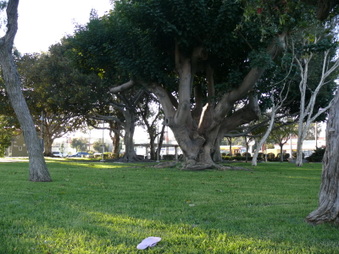 Enlarge photo 21